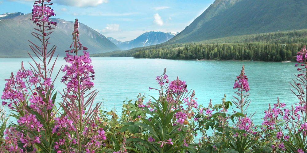 Your Guide to Visiting Juneau, Alaska – What to Know Before You Go