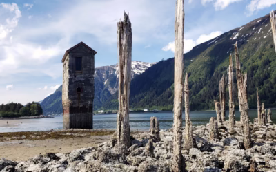 Explore Juneau’s Beaches: Tide Pools, Paddling & Hidden Gems